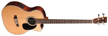 Sigma Guitars BRC-28E