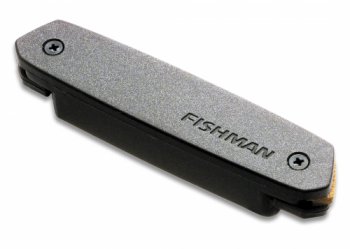 Fishman Neo D Humbucking