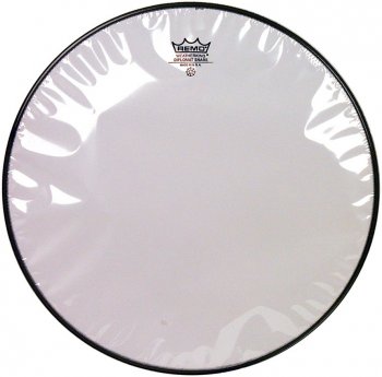 REMO 12" Diplomat Hazy