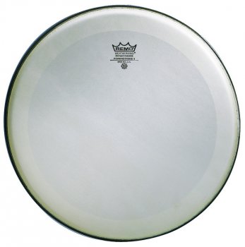 REMO 14" Powerstroke 3 Renaissance