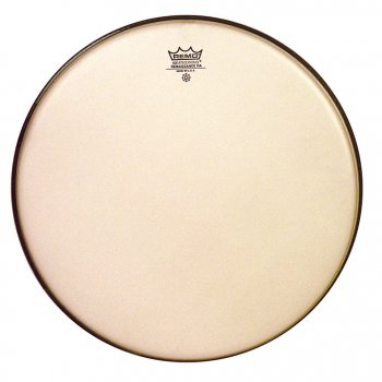 REMO 10" Ambassador Renaissance