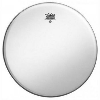 REMO 12" Diplomat coated